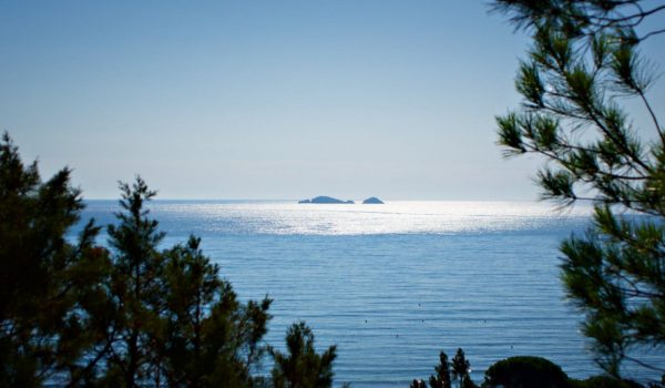 les_environs_de_Porto_Vecchio_02